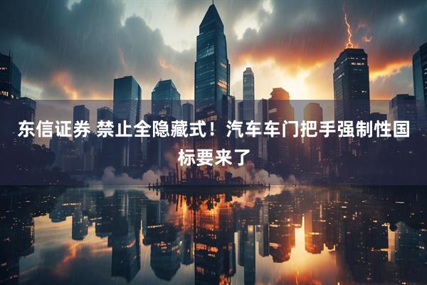 东信证券 禁止全隐藏式！汽车车门把手强制性国标要来了