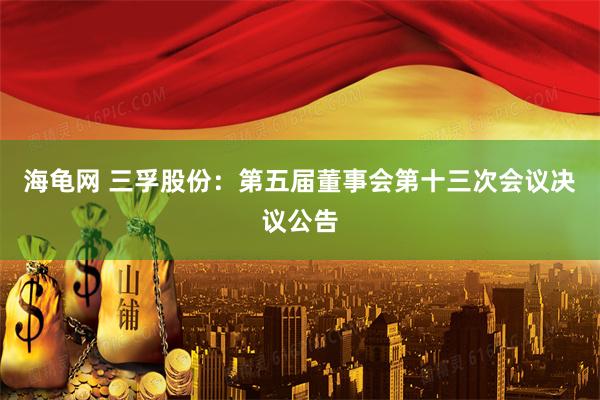 海龟网 三孚股份：第五届董事会第十三次会议决议公告